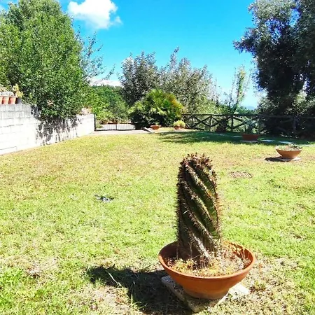 Andrea In Citta Dell'arcomagno * San Nicola Arcella