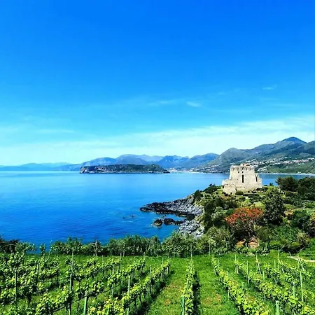 Andrea In Citta Dell'arcomagno *